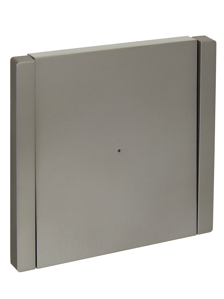 FORTEPIANO Выключатель 1-клавишный проходной с индикацией 10А FP504 сталь IEK